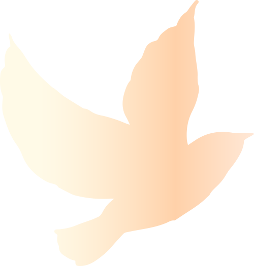 192018fi16g1tl1lzi852i.png