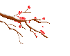 200520jsk1a0fmtmhaateh.gif