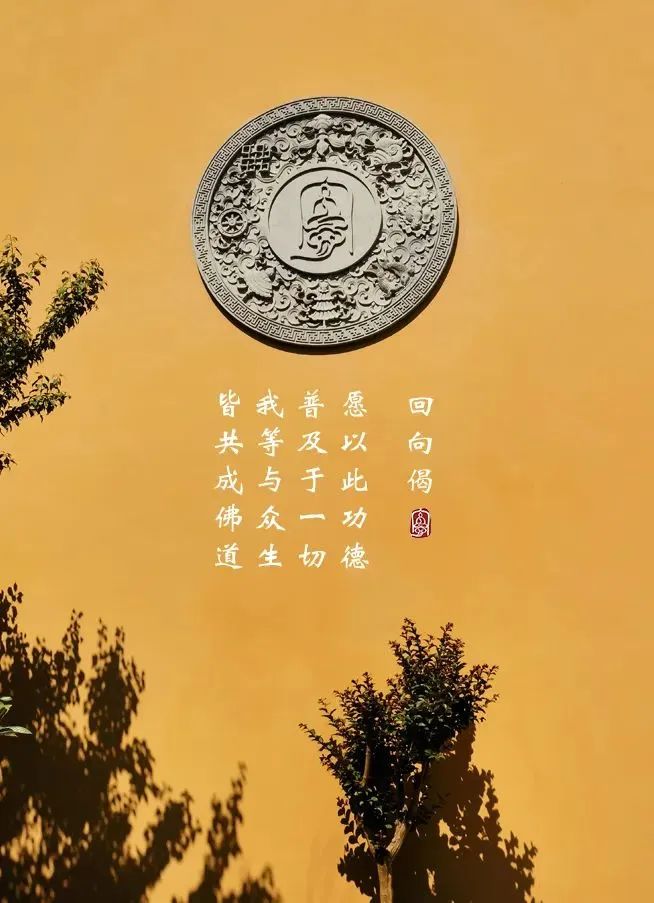 201228obmx933b669riiyi.jpeg