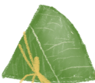191537pn0nffktgmkg31cm.png