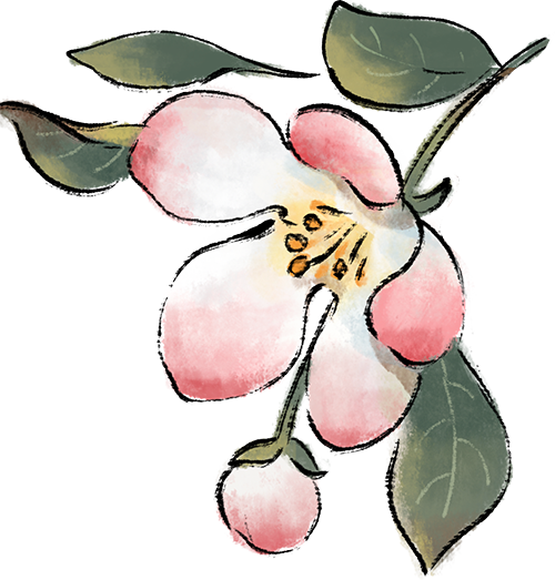 192627fd4q8tw1nh1tz4i1.png