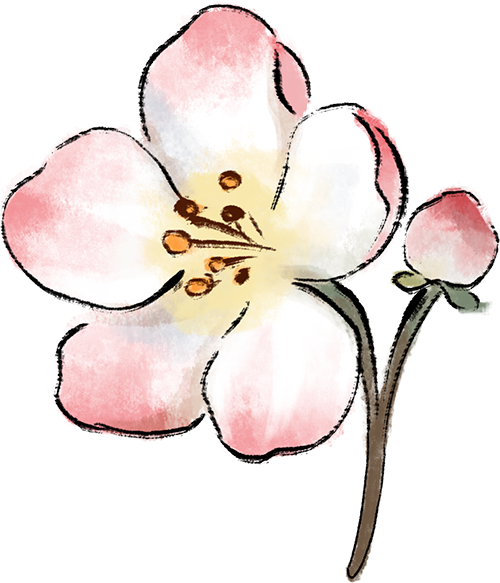 192627pps7c8ltrrsca8ys.png