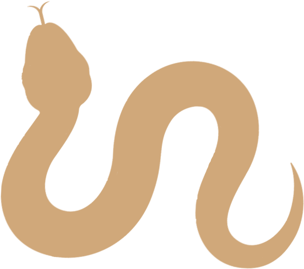 193155eapsft9zm59sgm9t.png