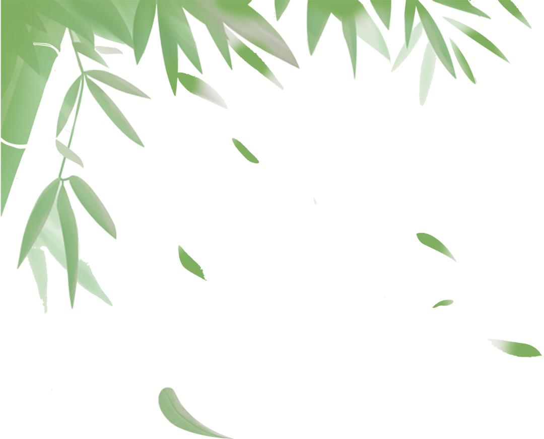194750bwik2202o6cikifm.png