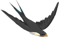 194750rr6h867rkt8wew86.png