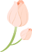 200613ekdjji9j0lf4p0ht.png
