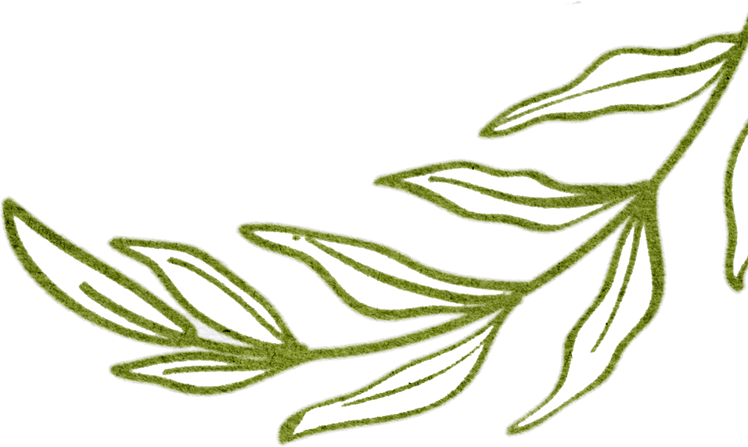192817gt1jd6xekh45u50p.png