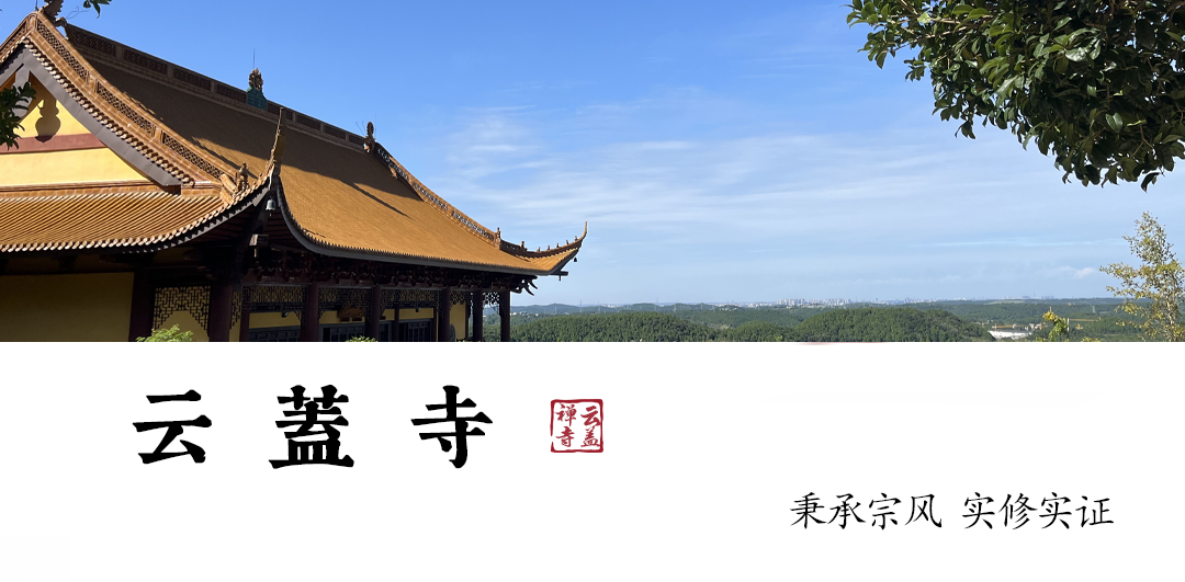175300m7pjs9219j9y4s11.png