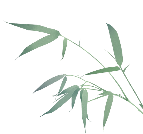 195237ex2m8t801qx0qo58.png