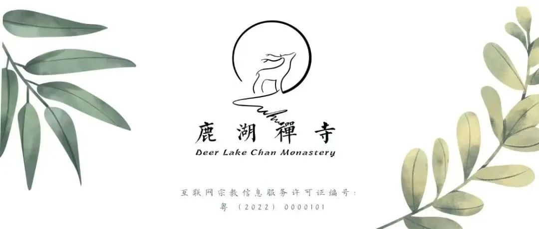 162846beq4n22qf4r4qc2u.jpeg