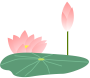 193113pnzukr8pp7utaaap.png