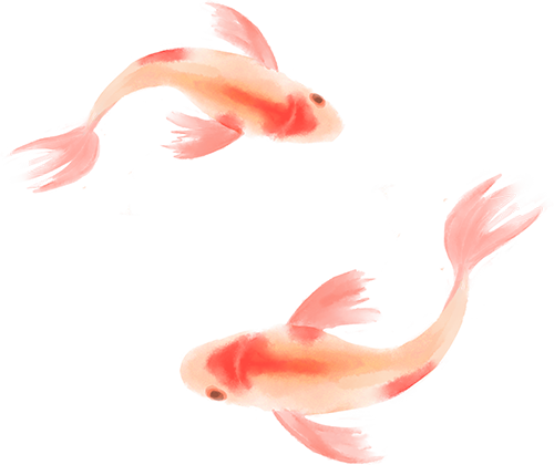 193136sq00ui44p5u3w0qu.png