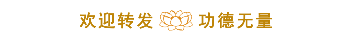 193138nfzyzffyqckmyjjn.png