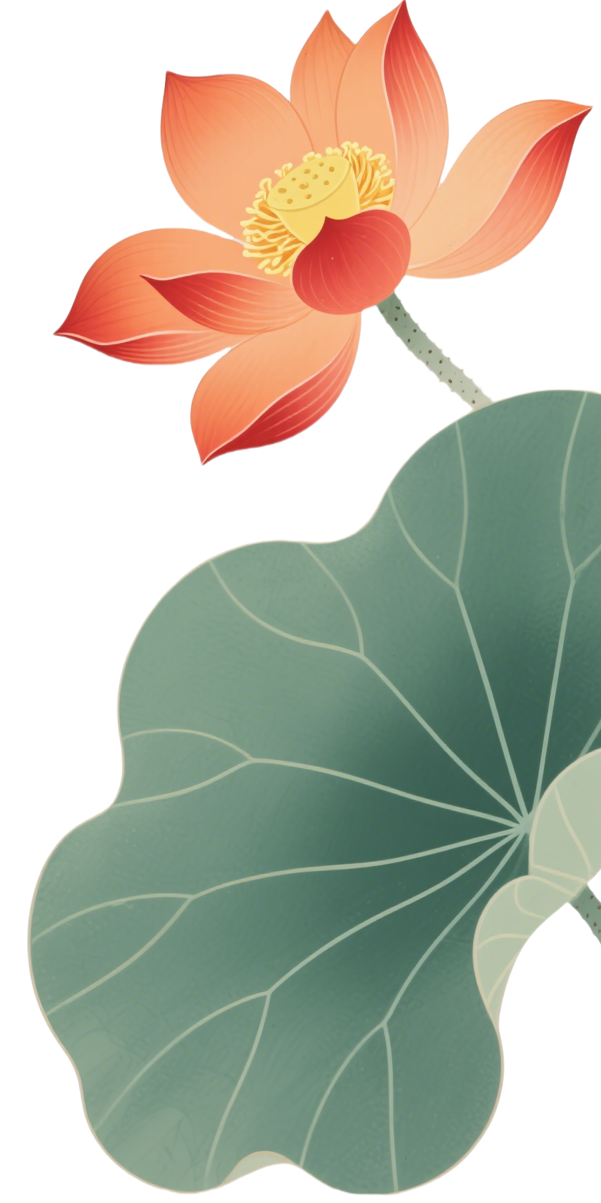 193510ge8c4z50yjw120jc.png