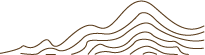 195530sjx6pff26nf2jxx2.png