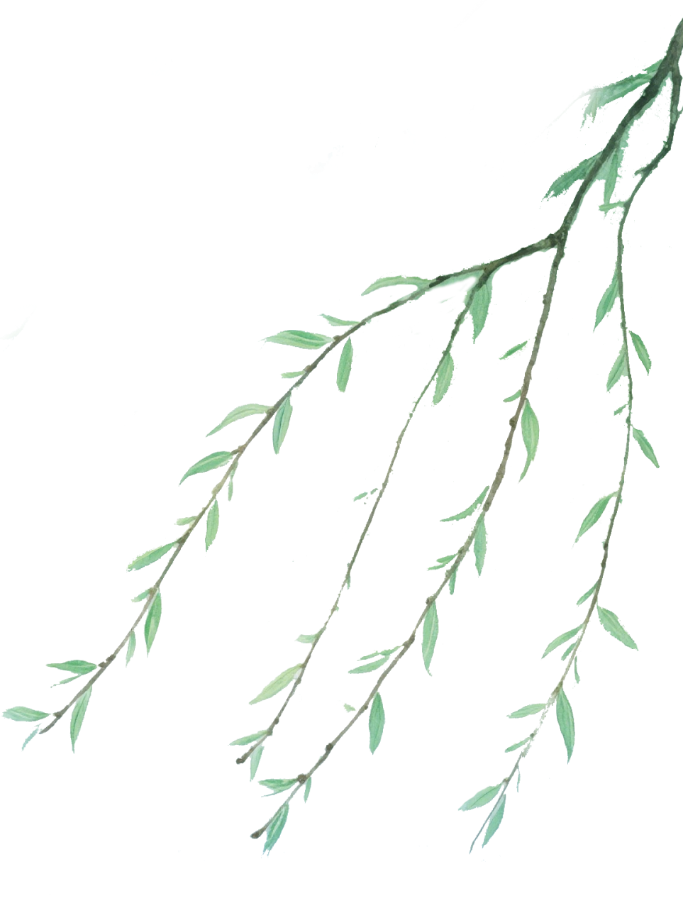 193616scd0rgd1gjj1310v.png