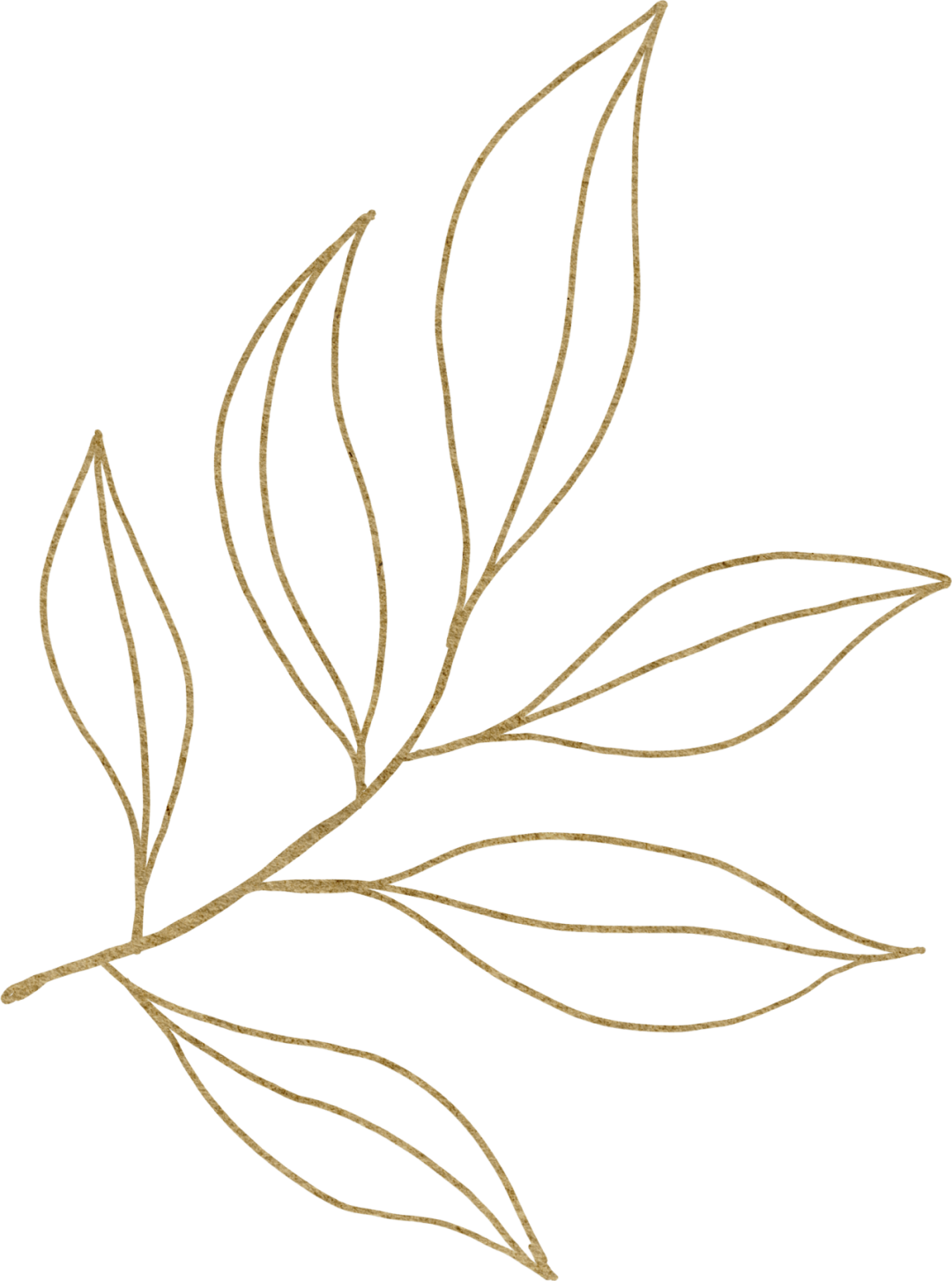 192017p8888xypxsm6jjji.png