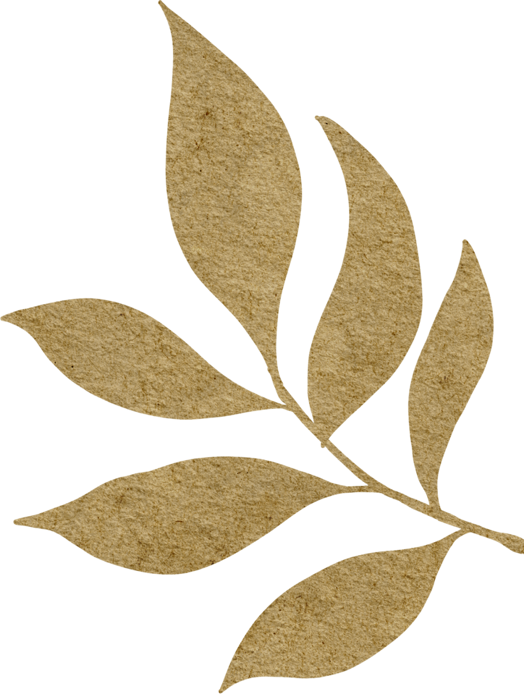 192019jy215slt2cuotu62.png