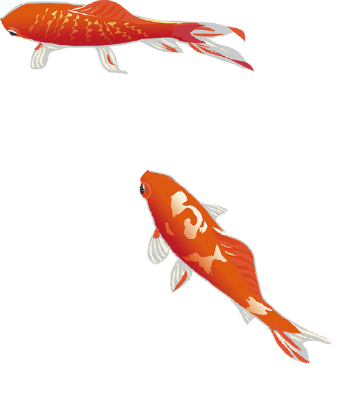 203155u19ss1088ppzu88i.png