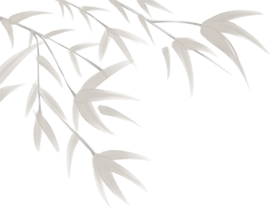 182728nxuuxypdeppwx8g8.png