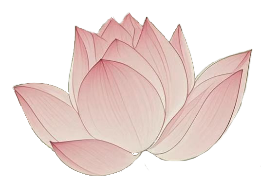 195826ko0dp7rbncaocbu7.png