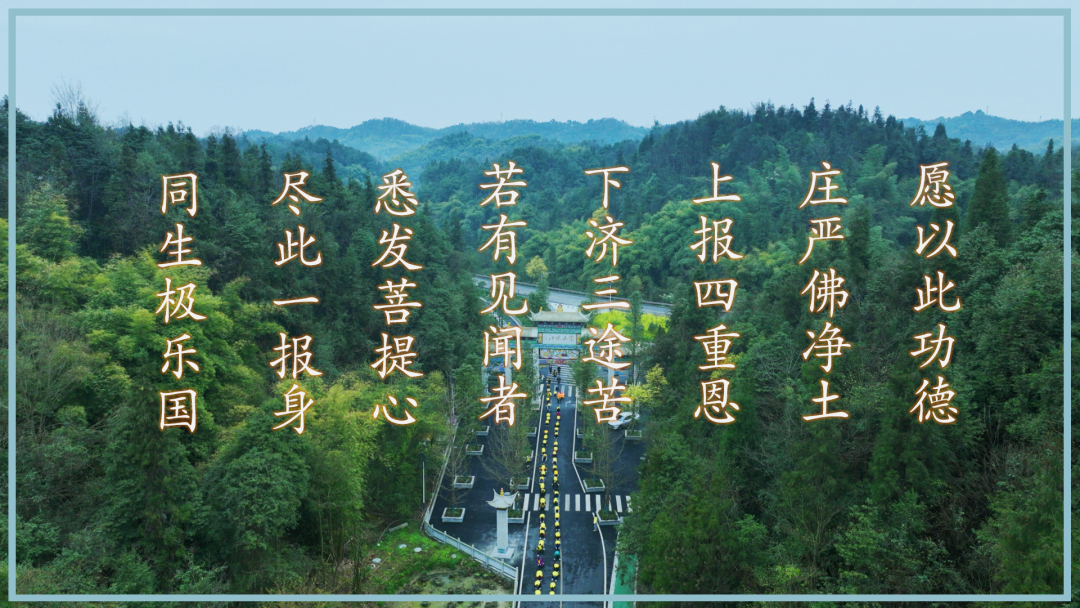185007g2rioioaa8uhvoo2.png