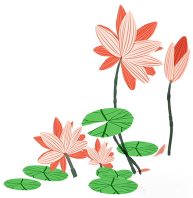 185143cdsb82hdzbo4dzyd.png