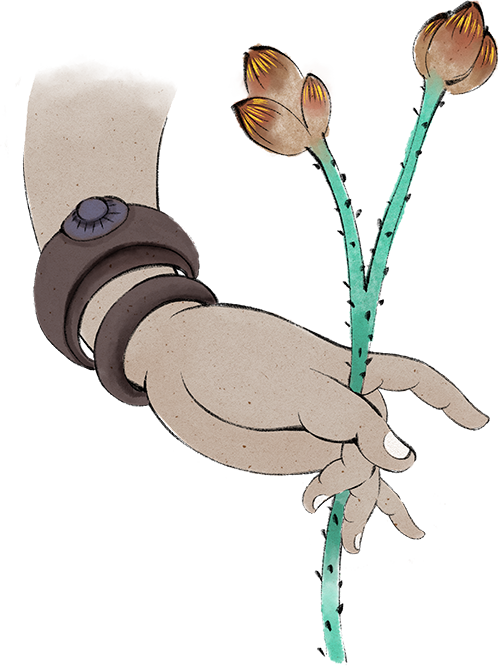 190039ahqhn1qzghsrrssf.png