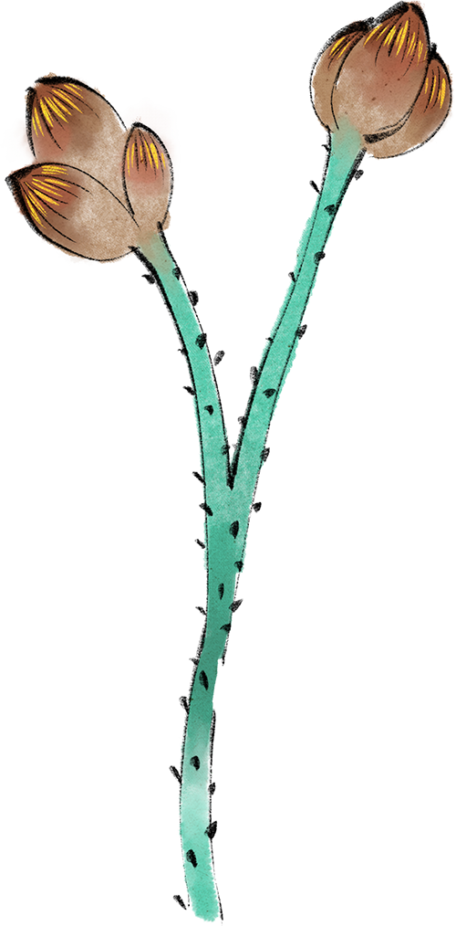 200649w5g0r08t5yrhgoon.png