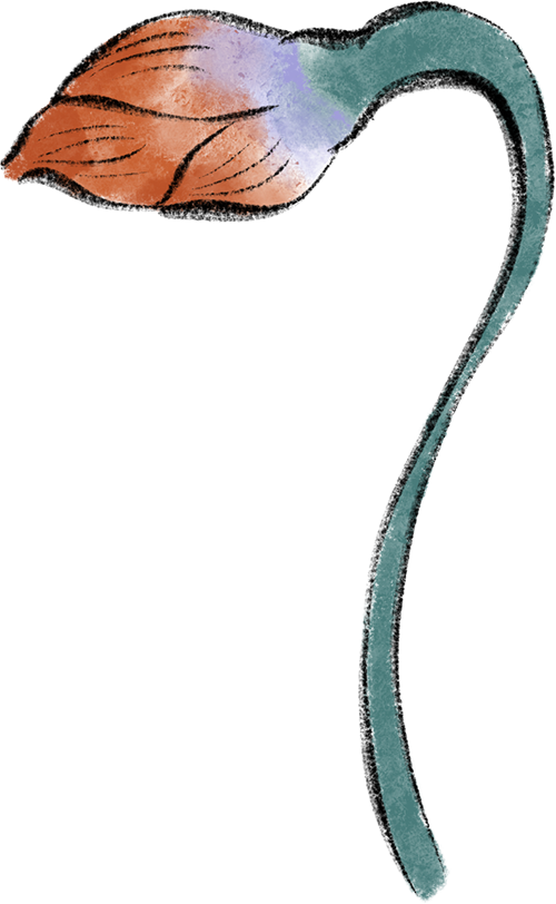 200649xzgbj9445bzugxe4.png
