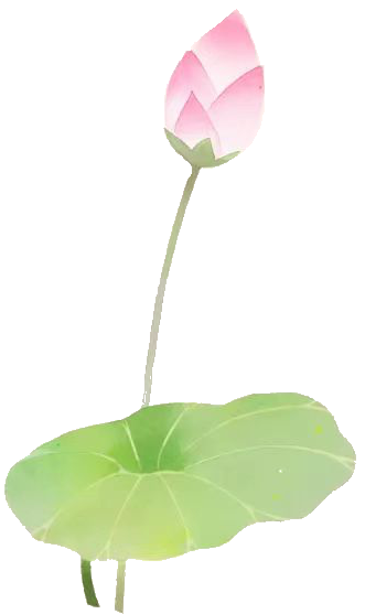 165358q34jfd090pc3d733.png