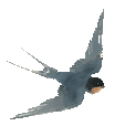 165500j9mycrv8m0vp78mv.gif