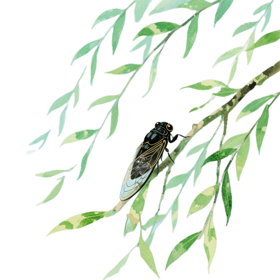 193307xnrdhjs3p8sdzjup.png