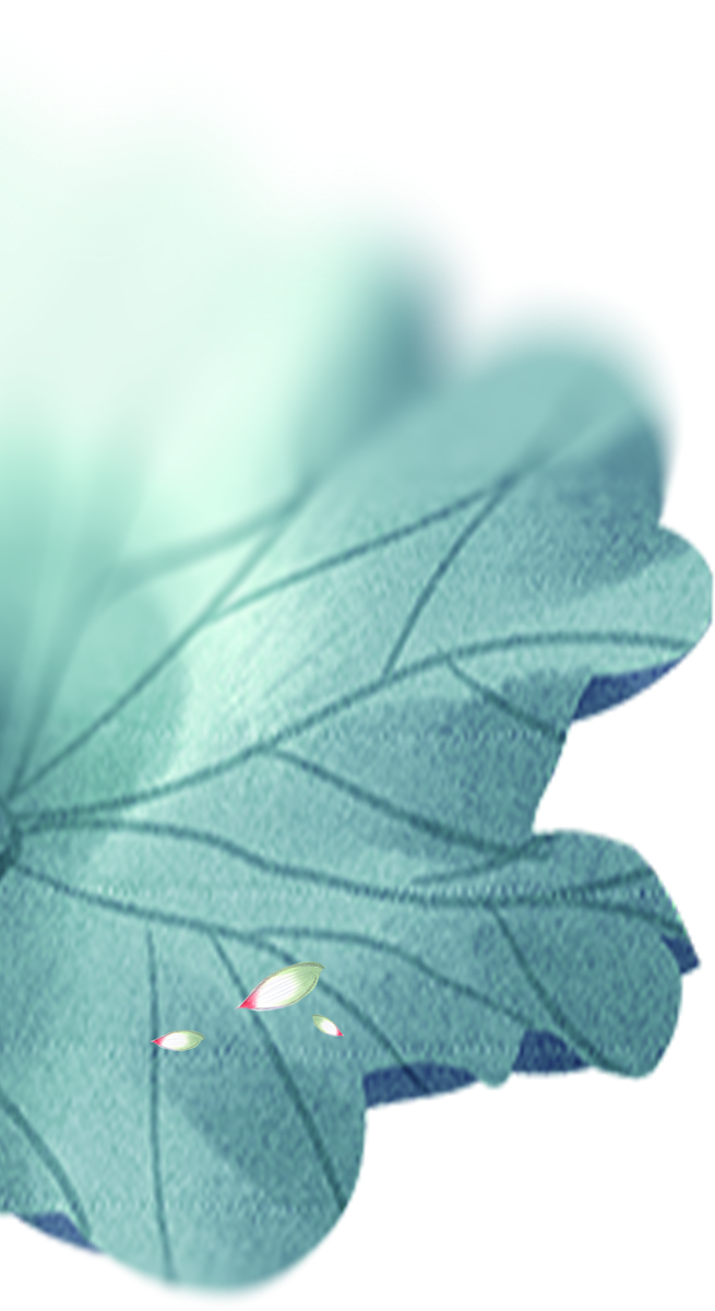 193506foc1fvo09qazvffk.png