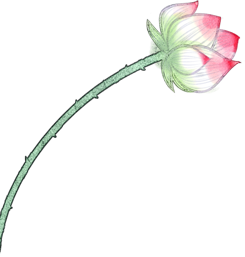 193507cfvf0z1711jio7fr.png