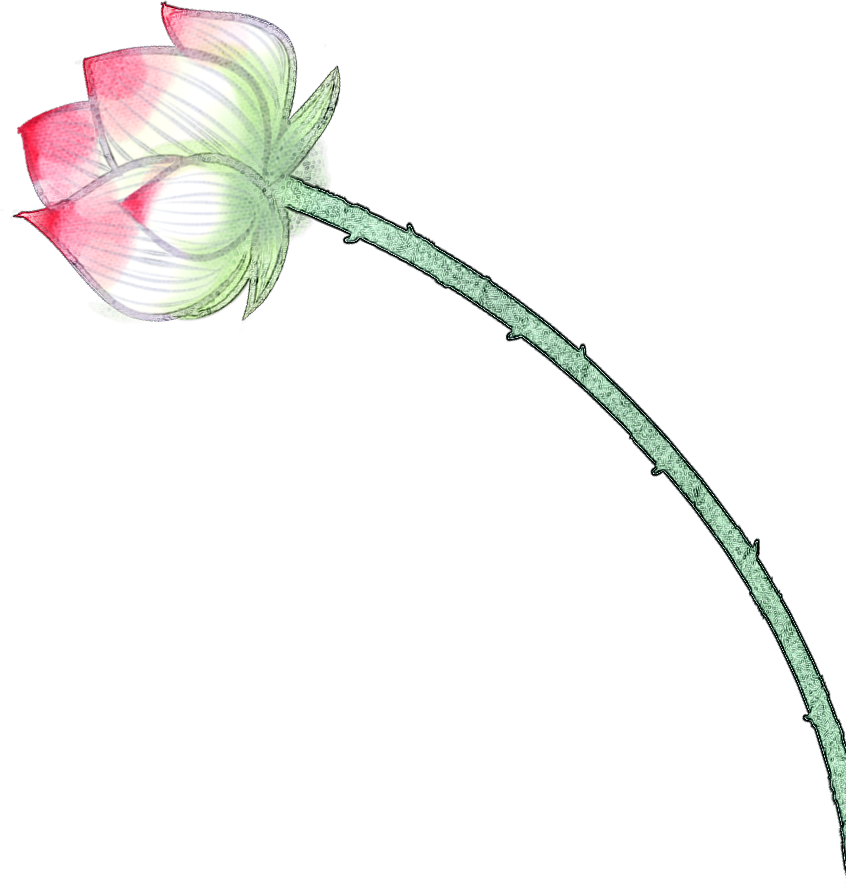193508glz643rrd6ccl4l4.png