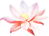 202232rkzz50592lr5r5w2.png