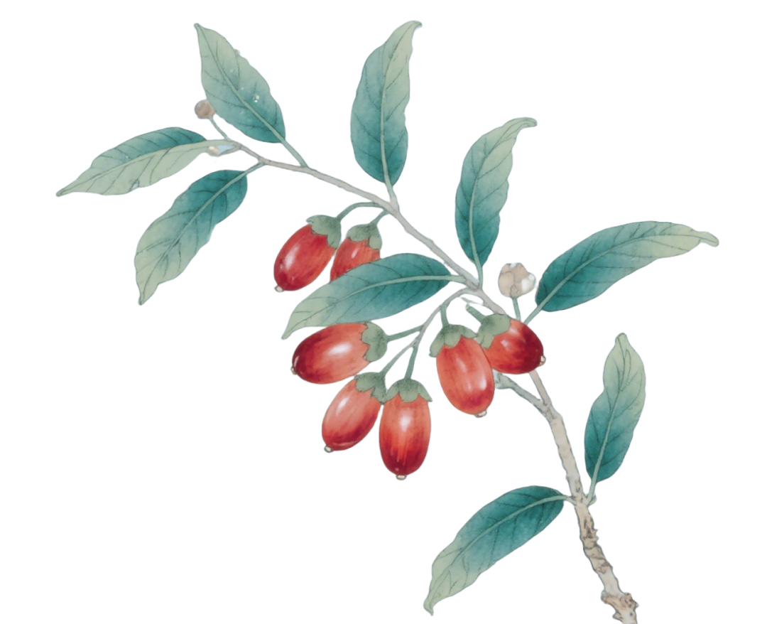 172755cob1wuyfayunppuo.png