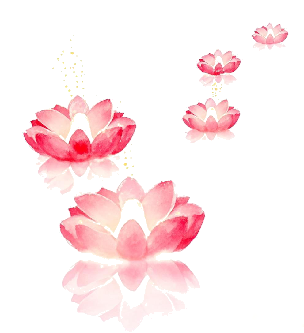 203823dd571pnq2q3pzdlb.png