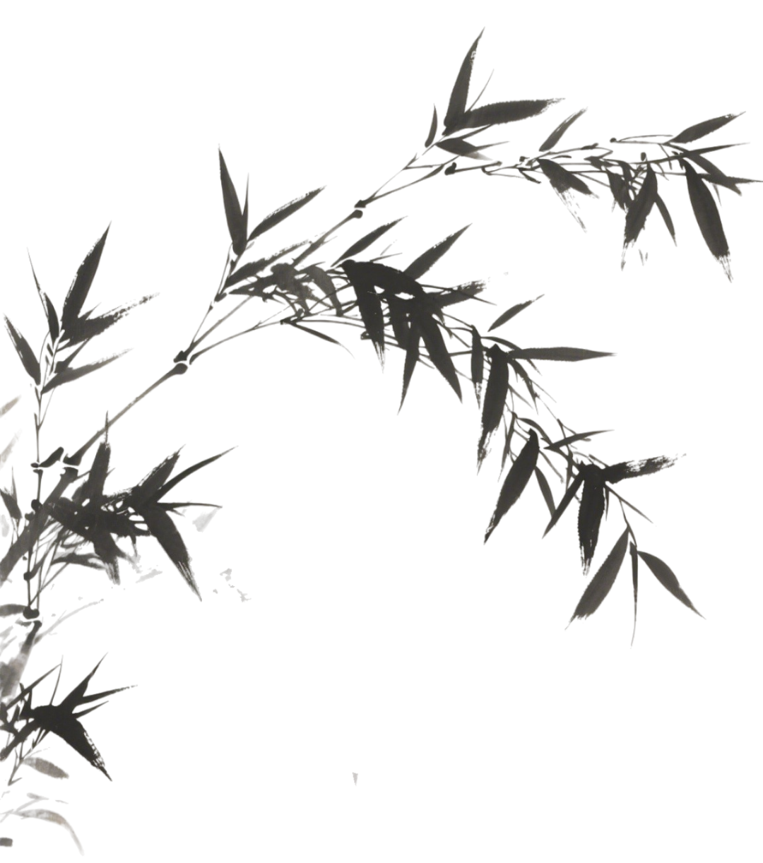 203923ri0408z8v8h80vir.png