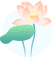 171040dwkb330c2vty57l4.png