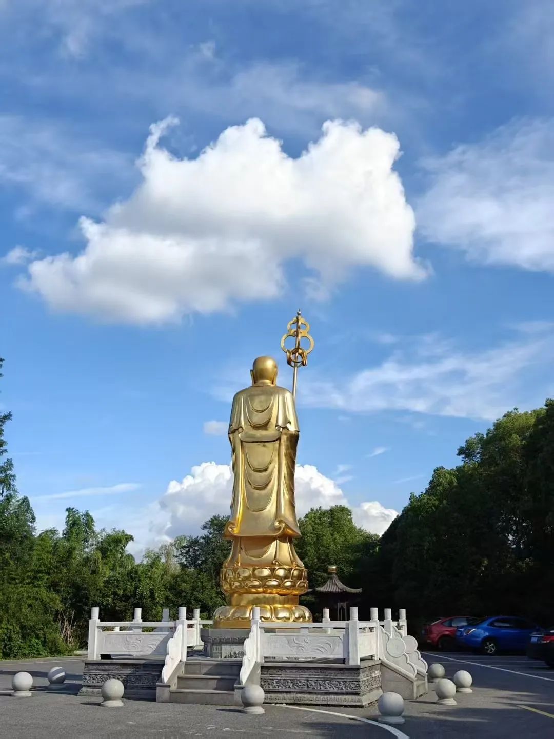 171803hzbatodut6cvjvdo.jpeg