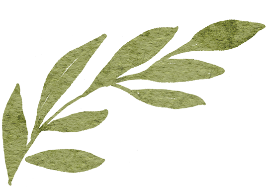192101pi4paj4m060xwhii.png