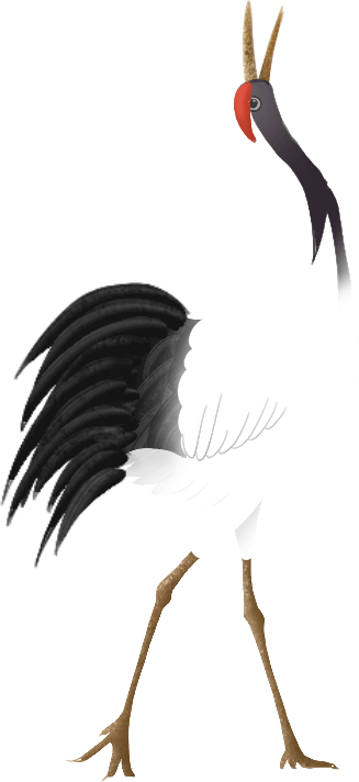 191843szoomp2q54jr5u2q.png