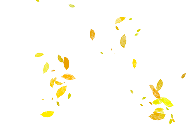 200531hquz62u2895p2u19.png