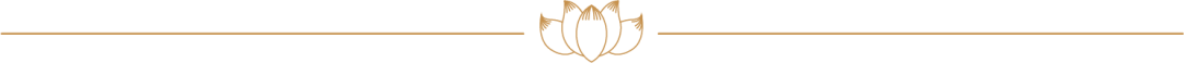 211757brjsrqxrvpr2l202.png