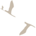212443a53yh0vdf396cydh.png