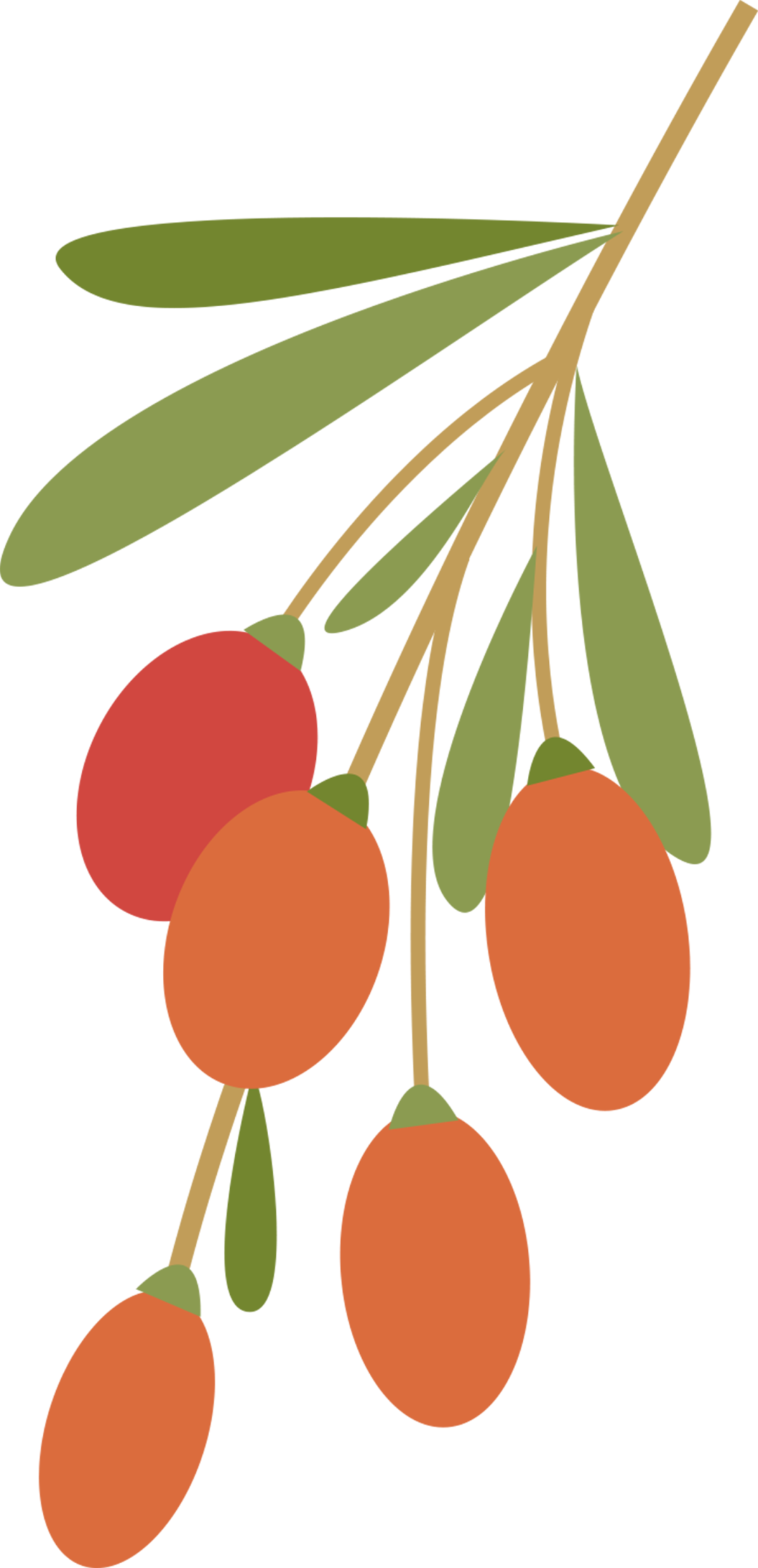182541kiaizwfxw7o67sbk.png