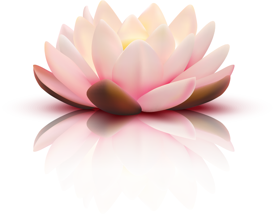 191102jmqthpdr09uhwurd.png