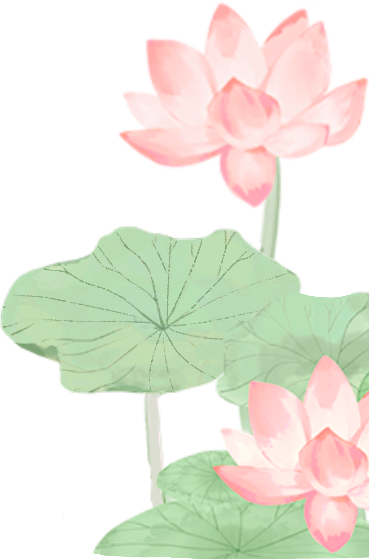 194226fmcew2ipaf76eaok.png